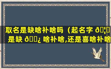 取名是缺啥补啥吗（起名字 🦟 是缺 🌿 啥补啥,还是喜啥补啥）